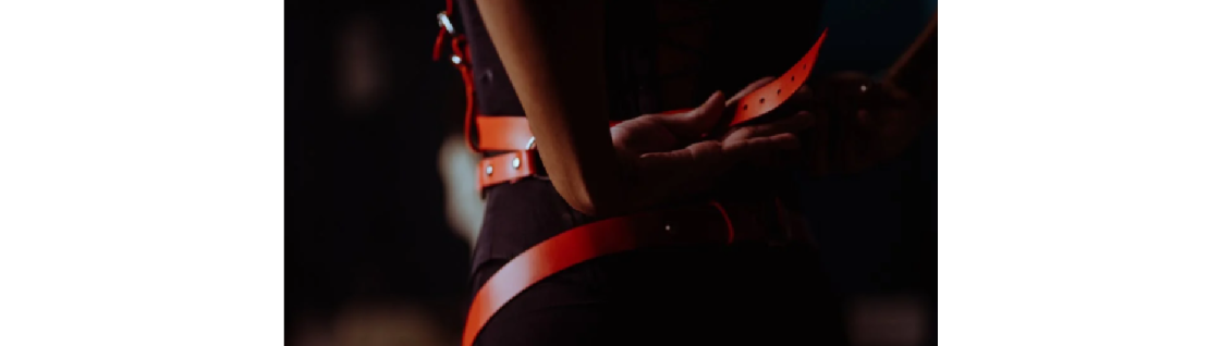 Jouets pour adultes / Sextoys